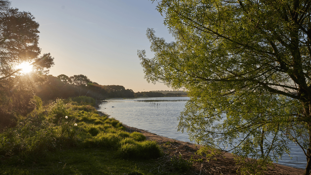 [Land for Sale] Clearwater, Colac OpenLot